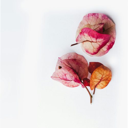 image00007